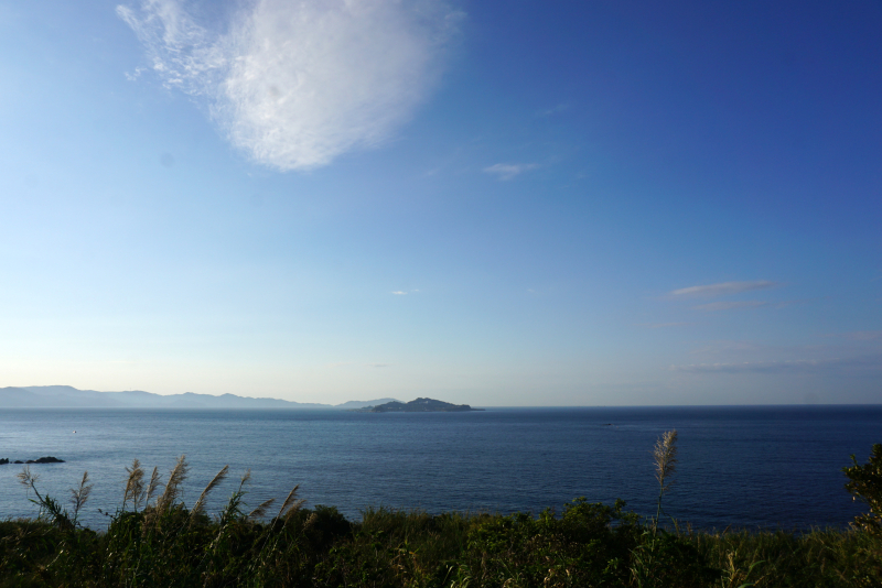 DSC08579