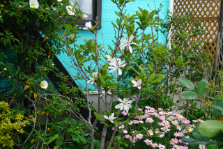 DSC02155