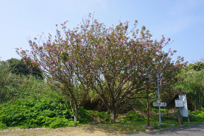 DSC06692