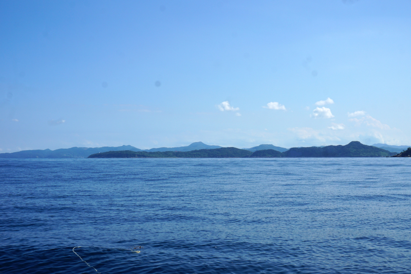 DSC07317