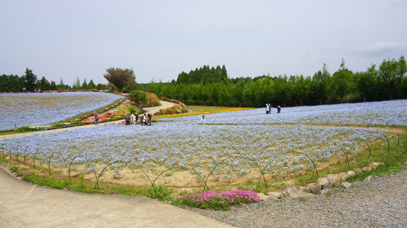 DSC06833