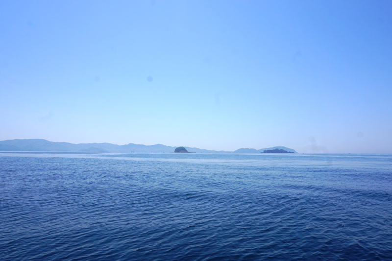 DSC06953