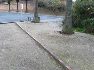 P1000854