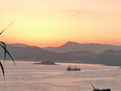 P1030714