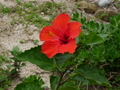 P1040918